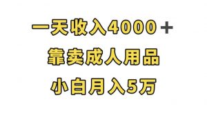 一天收入4000+，靠卖成人用品，小白轻松月入5万【揭秘】-云途资源库