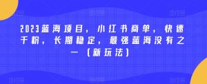 2023蓝海项目，小红书商单，快速千粉，长期稳定，最强蓝海没有之一（新玩法）-云途资源库