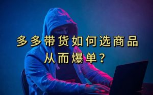 多多视频带货选什么商品链接才能爆单，10分钟教会你，爆单不是浮云【揭秘】-云途资源库