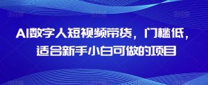 AI数字人短视频带货，门槛低，适合新手小白可做的项目-云途资源库
