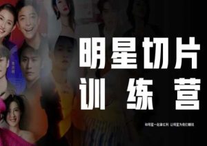 王子·明星切片线上训练营（2023），和明星一起拿红利，让明星为我们赚钱-云途资源库