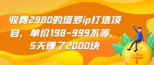 收费2980的塔罗ip打造项目，单价198-999不等，5天赚了2000块【揭秘】-云途资源库
