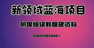 虚拟资源蓝海领域新项目，轻松日入800＋，附保姆级教程及资料-云途资源库