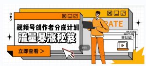 一条视频收益3000+，一条作品涨粉2000+，视频号流量爆炸·的秘籍-云途资源库