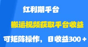 搬运视频获取平台收益，平台红利期，附保姆级教程【揭秘】-云途资源库