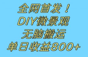 全网首发冷门赛道！DIY微景观，无脑搬运视频，日收益800+【揭秘】-云途资源库