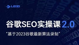 雷子·谷歌SEO 2.0实战课，独立站询盘自由必备，基于2023谷歌最新算法录制-云途资源库