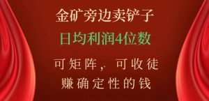金矿旁边卖铲子，赚确定性的钱，可矩阵，可收徒，日均利润4位数【揭秘】-云途资源库