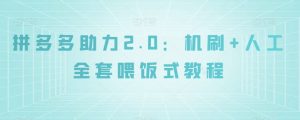 拼多多助力2.0：机刷+人工全套喂饭式教程【揭秘】-云途资源库