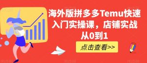 海外版拼多多Temu快速入门实操课，店铺实战从0到1-云途资源库