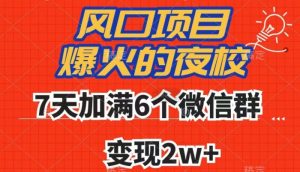 全网首发，爆火的夜校，7天加满6个微信群，变现2w+【揭秘】-云途资源库