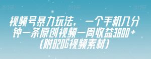 视频号暴力玩法，一个手机几分钟一条原创视频一周收益3800+（附820G视频素材）-云途资源库
