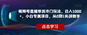 视频号直播带货冷门玩法，日入1000+，小白专属项目，从0到1实战教学【揭秘】-云途资源库