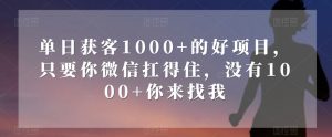 单日获客1000+的好项目，只要你微信扛得住，没有1000+你来找我【揭秘】-云途资源库