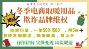 利用电商平台冬季销售取暖用品欺诈行为合理制裁店铺，单日入900+【仅揭秘】-云途资源库