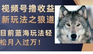 视频号撸收益新玩法之狼道，目前蓝海玩法，轻松月入过万【揭秘】-云途资源库