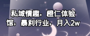 私域情趣，橙仁体验馆，暴利行业，月入2w【揭秘】-云途资源库