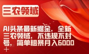 AI头条最新掘金，全新三农领域，不违规不封号，简单粗暴月入6000＋【揭秘】-云途资源库