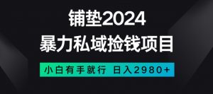 暴力私域捡钱项目，小白无脑操作，日入2980【揭秘】-云途资源库