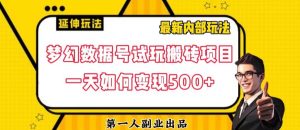 数据号回归玩法游戏试玩搬砖项目再创日入500+【揭秘】-云途资源库