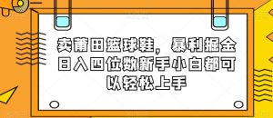 卖莆田篮球鞋，暴利掘金日入四位数新手小白都可以轻松上手【揭秘】-云途资源库
