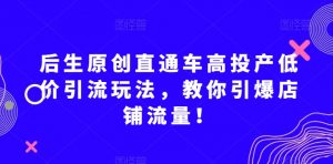 后生原创直通车高投产低价引流玩法，教你引爆店铺流量！-云途资源库