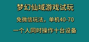 梦幻仙域游戏试玩，免微信玩法，单机40-70，一个人同时操作十台设备【揭秘】-云途资源库
