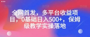 全网首发，多平台收益项目，0基础日入500+，保姆级教学实操落地【揭秘】-云途资源库