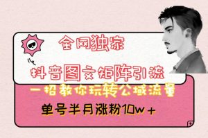 全网独家抖音图文矩阵引流，一招教你玩转公域流量，单号半月涨粉10w+【揭秘】-云途资源库
