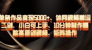单条作品变现5000+、外网视频搬运二创，小白可上手，10分钟制作爆款高原创视频，矩阵操作【揭秘】-云途资源库