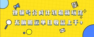 视频号最新爆火赛道玩法，只需无脑搬运，轻松过原创，单日收益上千【揭秘】-云途资源库