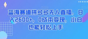 蓝海赛道拼多多无人直播，日入2600+，0成本变现，小白也能轻松上手【揭秘】-云途资源库