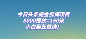 今日头条掘金低保项目，8000播放=150米，小白副业首选【揭秘】-云途资源库