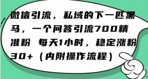 怎么搞精准创业粉？微信新赛道，每天一小时，利用Ai一个问答日引100精准粉-云途资源库