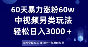 60天暴力涨粉60W，中视频另类玩法，日入3000＋，几分钟一条原创作品多种变现方式-云途资源库