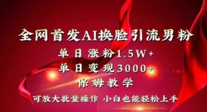 全网首发Ai换脸引流男粉，单日涨粉1.5w+，单日变现3000+，小白也能轻松上手拿结果【揭秘】-云途资源库