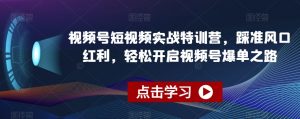 视频号短视频实战特训营，踩准风口红利，轻松开启视频号爆单之路-云途资源库