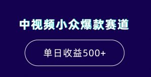 中视频小众爆款赛道，7天涨粉5万+，小白也能无脑操作，轻松月入上万【揭秘】-云途资源库