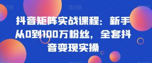 抖音矩阵实战课程：新手从0到100万粉丝，全套抖音变现实操-云途资源库
