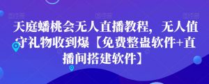 天庭蟠桃会无人直播教程，无人值守礼物收到爆【免费整蛊软件+直播间搭建软件】-云途资源库