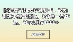 临近春节超火存钱打卡，轻松引爆小红薯流量，3分钟一条作品，20天涨粉4000+【揭秘】-云途资源库