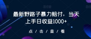 最新野路子暴力赔付，当天上手日收益1000+【仅揭秘】-云途资源库