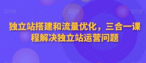 独立站搭建和流量优化，三合一课程解决独立站运营问题-云途资源库