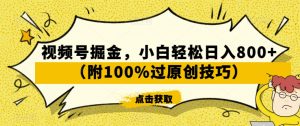 视频号掘金，小白轻松日入800+（附100%过原创技巧）【揭秘】-云途资源库