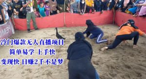 冷门爆款无人直播项目，简单易学上手快，变现快日赚2千不是梦【揭秘】-云途资源库