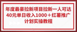 年度最豪拉新项目拉新一人可达40元单日收入1000+红薯推广计划实操教程【揭秘】-云途资源库
