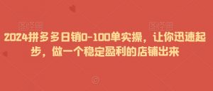 2024拼多多日销0-100单实操，让你迅速起步，做一个稳定盈利的店铺出来-云途资源库