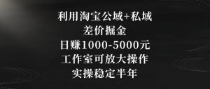利用淘宝公域+私域差价掘金，日赚1000-5000元，工作室可放大操作，实操稳定半年【揭秘】-云途资源库