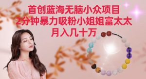 首创蓝海无脑小众项目，2分钟暴力吸粉小姐姐富太太，月入几十万【揭秘】-云途资源库