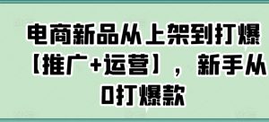 电商新品从上架到打爆【推广+运营】，新手从0打爆款-云途资源库